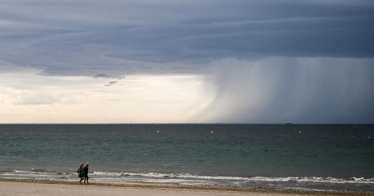 Kidnapped & Found: The Eleven-Year Mystery of 